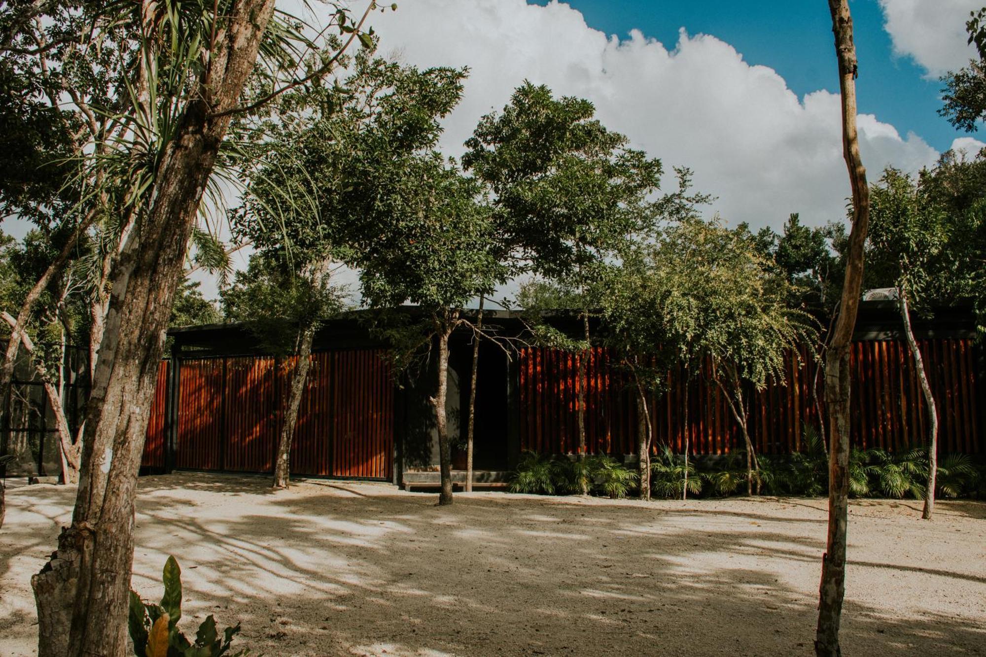 K Naj Community Cenote Residence Balcheil ภายนอก รูปภาพ